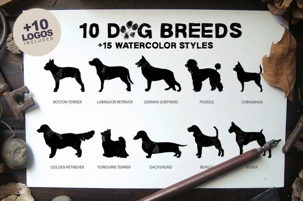 1 Dog Breeds x10 Vol.1 (2340x1560)